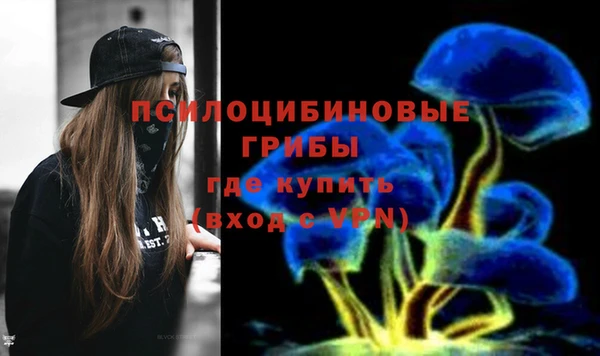 ALPHA PVP Белокуриха