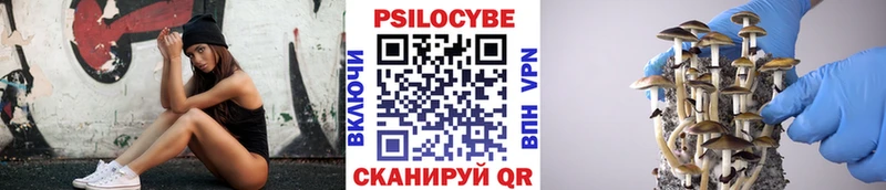 Галлюциногенные грибы GOLDEN TEACHER Воскресенск